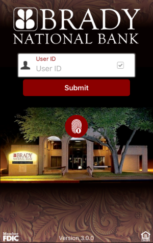Brady National Bank Mobile login display